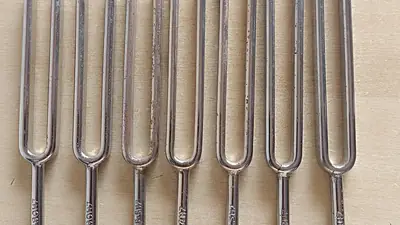 A row of tuning forks, a tool used to test vibration sense in the feet