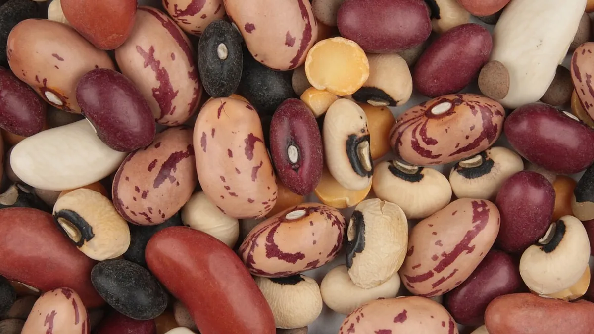 A close-up of mixed dried beans