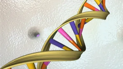 Illustration of a DNA double helix